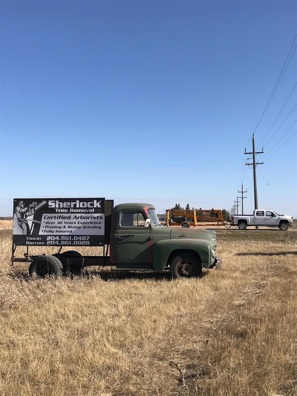 Sherlock Tree Removal | 26 1 St W, Inwood, MB R0C 1P0, Canada | Phone: (204) 861-0487