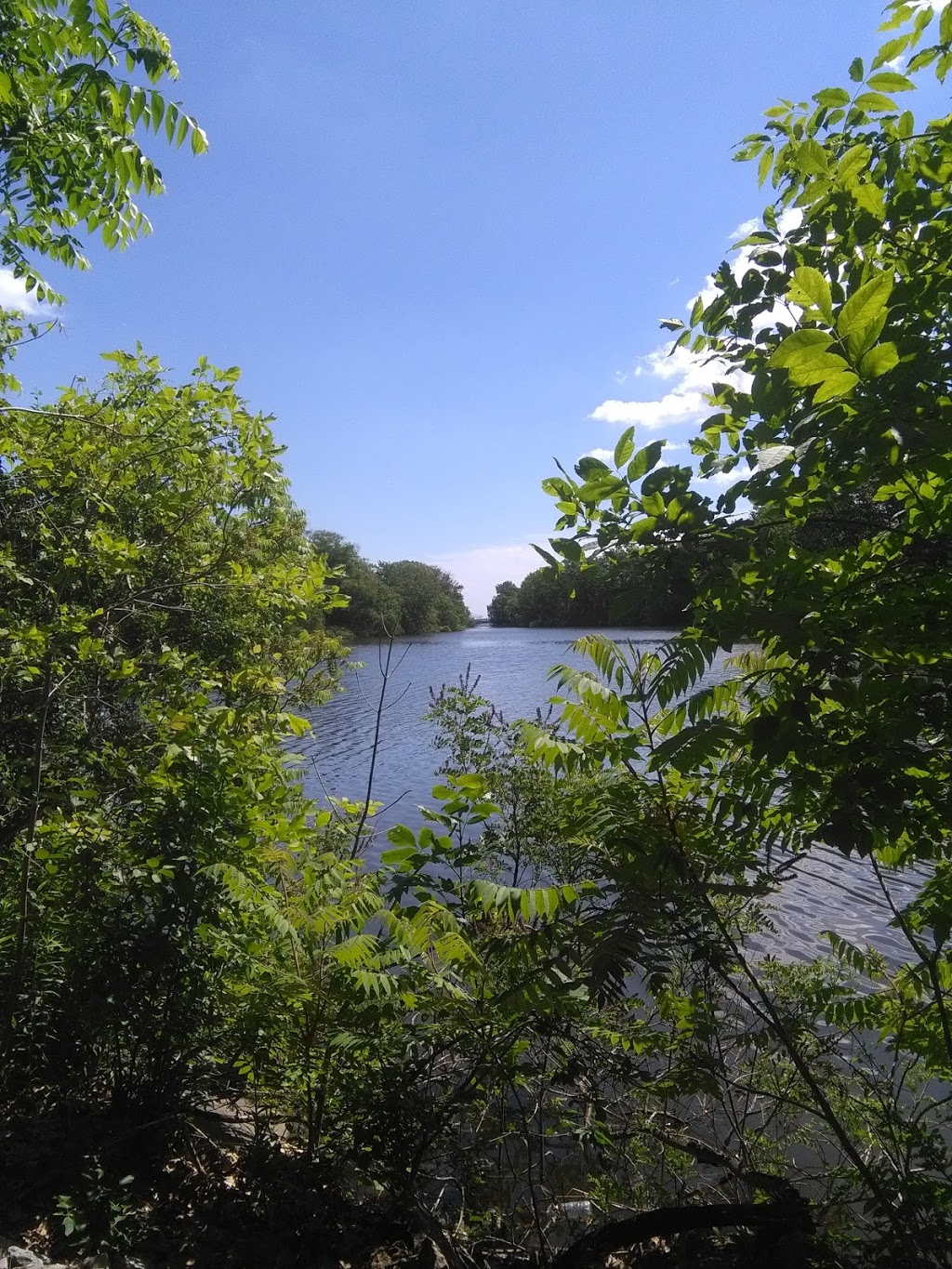 Wild Waterworks | 680 Waterfront Trail, Hamilton, ON L8E 3L8, Canada | Phone: (905) 547-6141