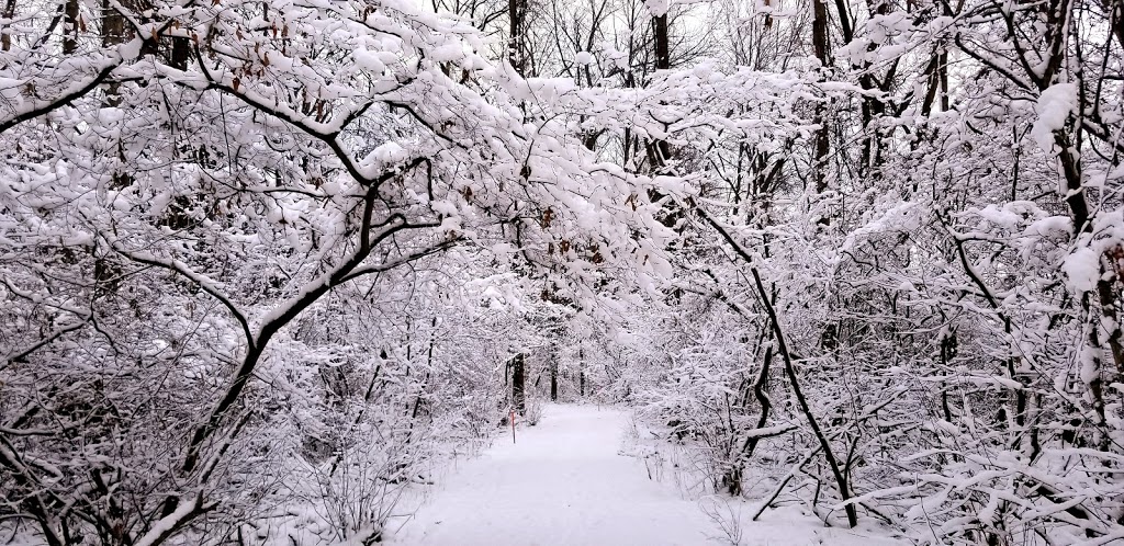 Spicer Creek Wildlife Management Area | Grand Island, NY 14072, USA