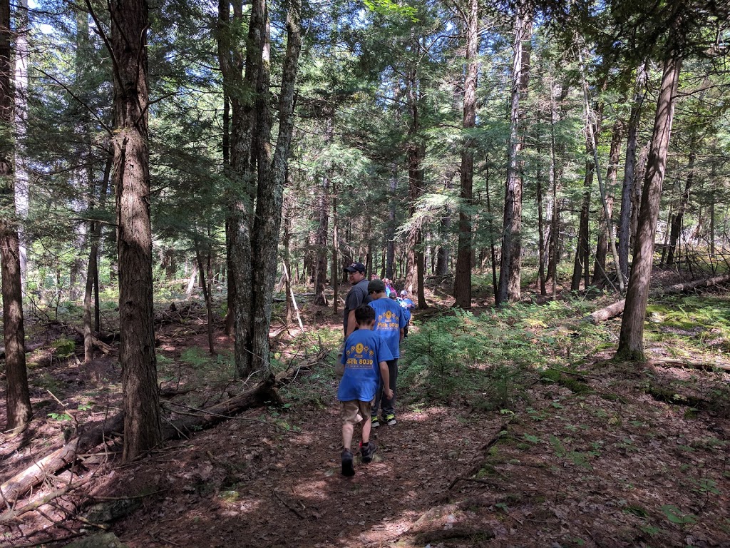 The Gulf Unique Area | Mooers Forks, NY 12959, USA