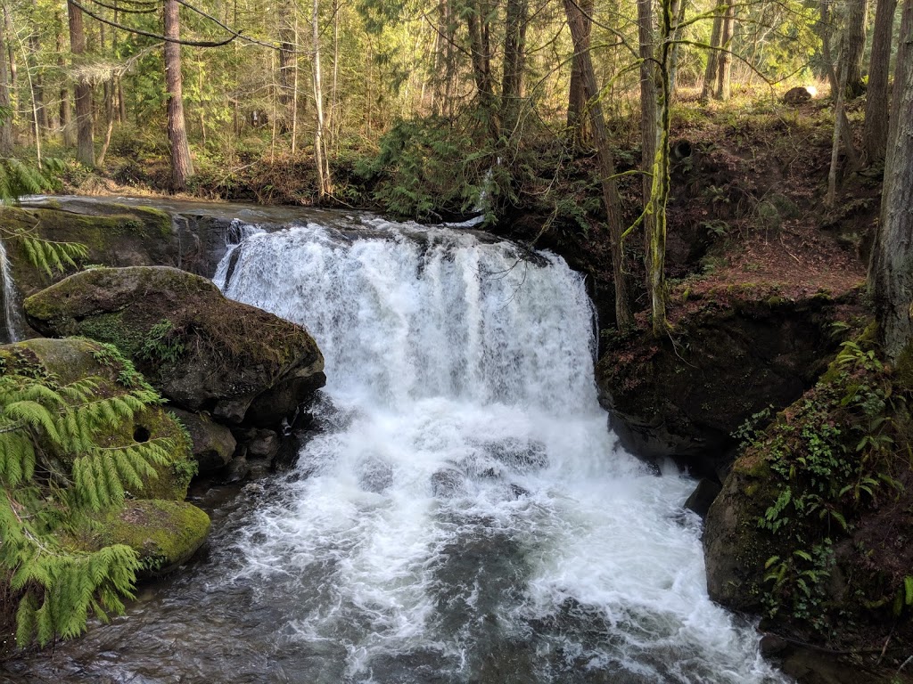 Whatcom Falls Park Stone Bridge | Bellingham, WA 98229, USA