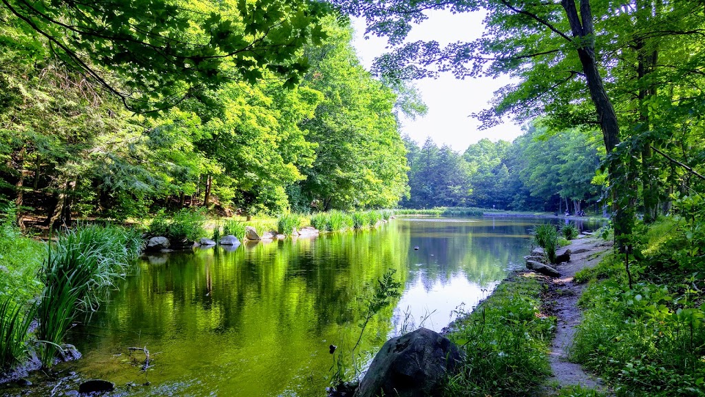 Glen Haffy Conservation Park | 19245 Airport Rd, Caledon East, ON L7K 2M9, Canada | Phone: (905) 584-2922