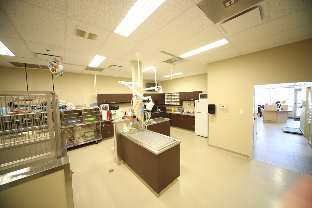 Mercy Animal Hospital | 15825 97 St NW, Edmonton, AB T5X 0C7, Canada | Phone: (780) 406-1400