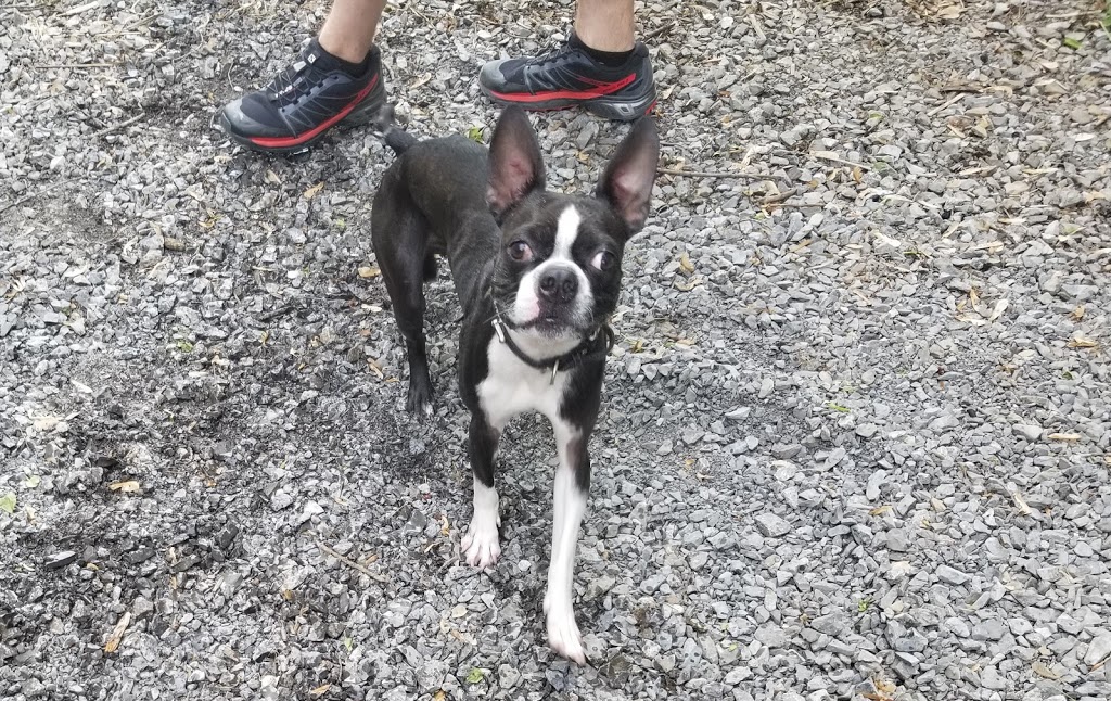 Pitou Minou et Compagnons Global | 1160 Boulevard Saint-Joseph, Gatineau, QC J8Z 1T3, Canada | Phone: (819) 205-0200