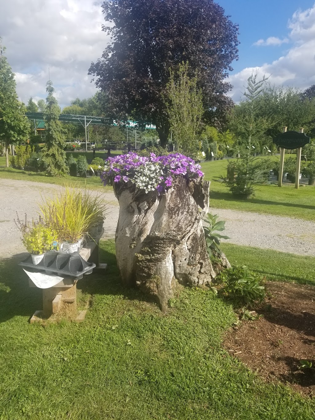 Farmgate Gardens | 525 Frankford Rd, Foxboro, ON K0K 2B0, Canada | Phone: (613) 967-1581