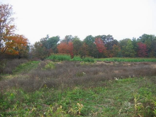 Ruffwood Game Farm | 535 Concession 1 Rd S, Cayuga, ON N0A 1E0, Canada | Phone: (905) 772-7230
