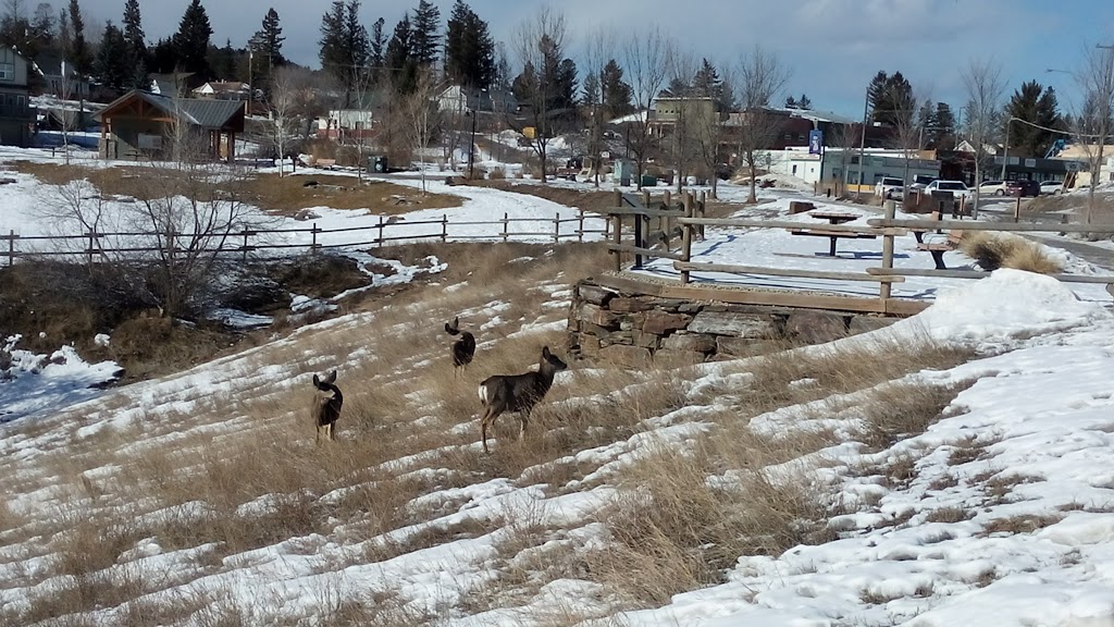 Invermere Hostel | 380 Laurier St, Invermere, BC V0A 1K7, Canada | Phone: (866) 222-0325