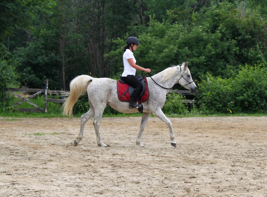 Equestrian Riding Center Bonanza | point of interest | 65 Chem. de lÉquerre, Laval, QC H7L 1W3, Canada | 4506256031 OR +1 450-625-6031