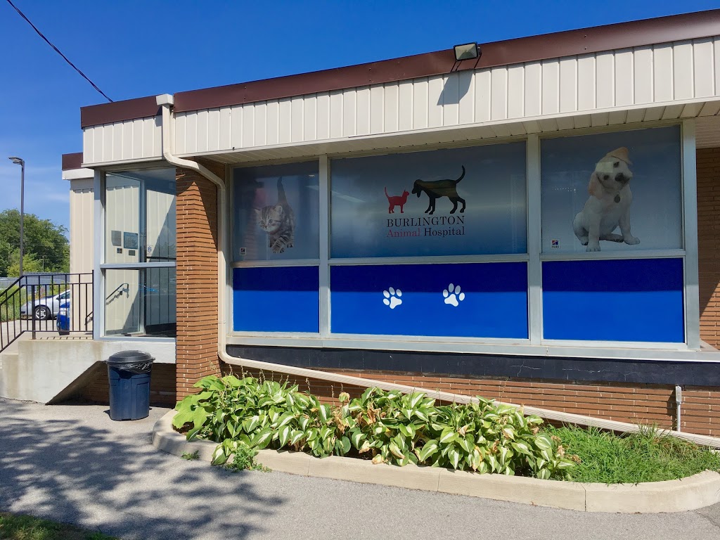 VCA Canada Burlington Animal Hospital | 1231 Guelph Line, Burlington, ON L7P 2T1, Canada | Phone: (905) 335-3515