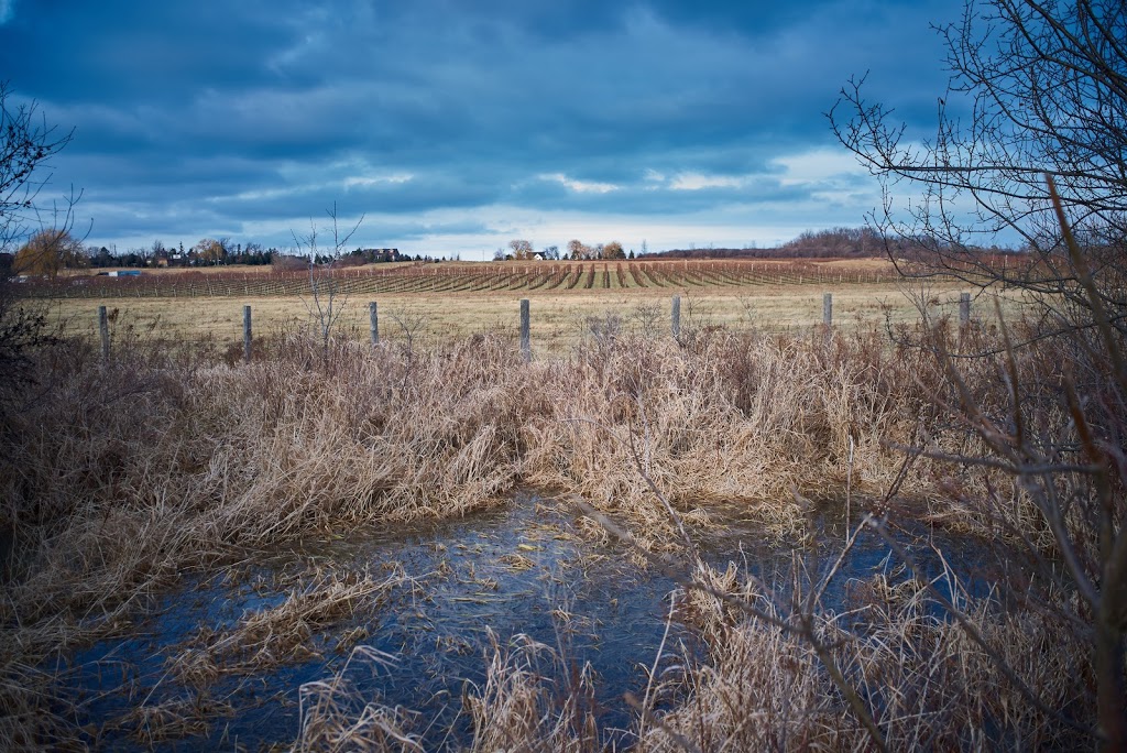 Dofasco 2000 Rail Trail | 204 Ridge Rd, Stoney Creek, ON L8J 2W1, Canada