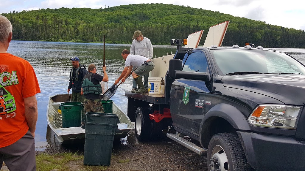 Coleman State Park | 1166 Diamond Pond Rd, Stewartstown, NH 03576, USA | Phone: (603) 237-5382
