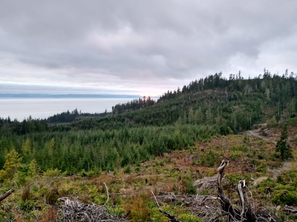 Funky Forest | 10700 W Coast Rd, Shirley, BC V9Z 1G8, Canada | Phone: (778) 678-0414