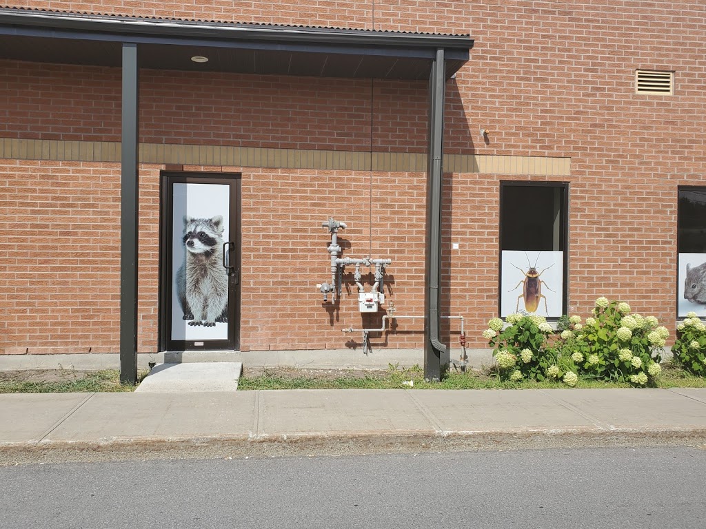 À K L Exterminateur | 1220 Rue Philippe-Chartrand Suite 106, Terrebonne, QC J7M 1W7, Canada | Phone: (450) 325-1463