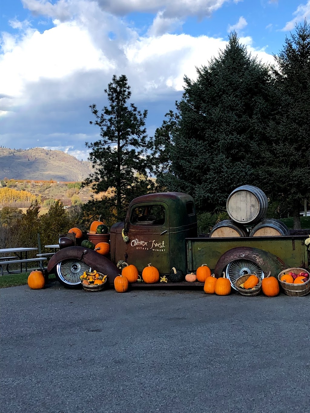 Kootenay WineCrafters (2004) Ltd | 338B King St, Cranbrook, BC V1C 4E3, Canada | Phone: (250) 426-6671