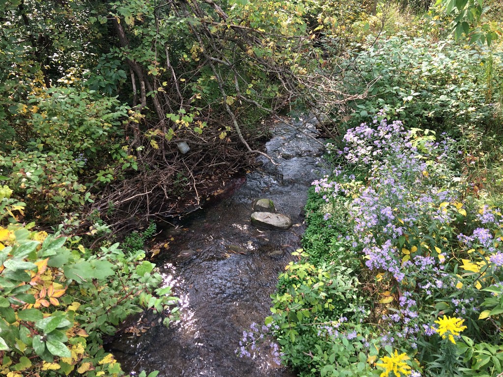 Hillcrest Heights Park | 92 Greenbelt Crescent, Richmond Hill, ON L4C 5R8, Canada