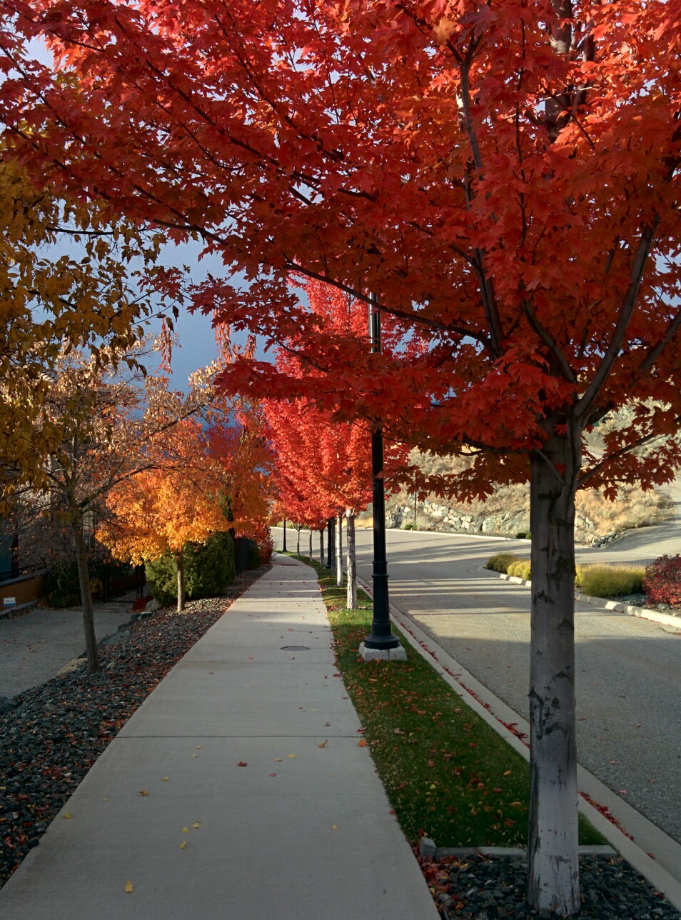 Rise | 7724 Okanagan Hills Blvd, Vernon, BC V1T 5G4, Canada | Phone: (250) 542-5111