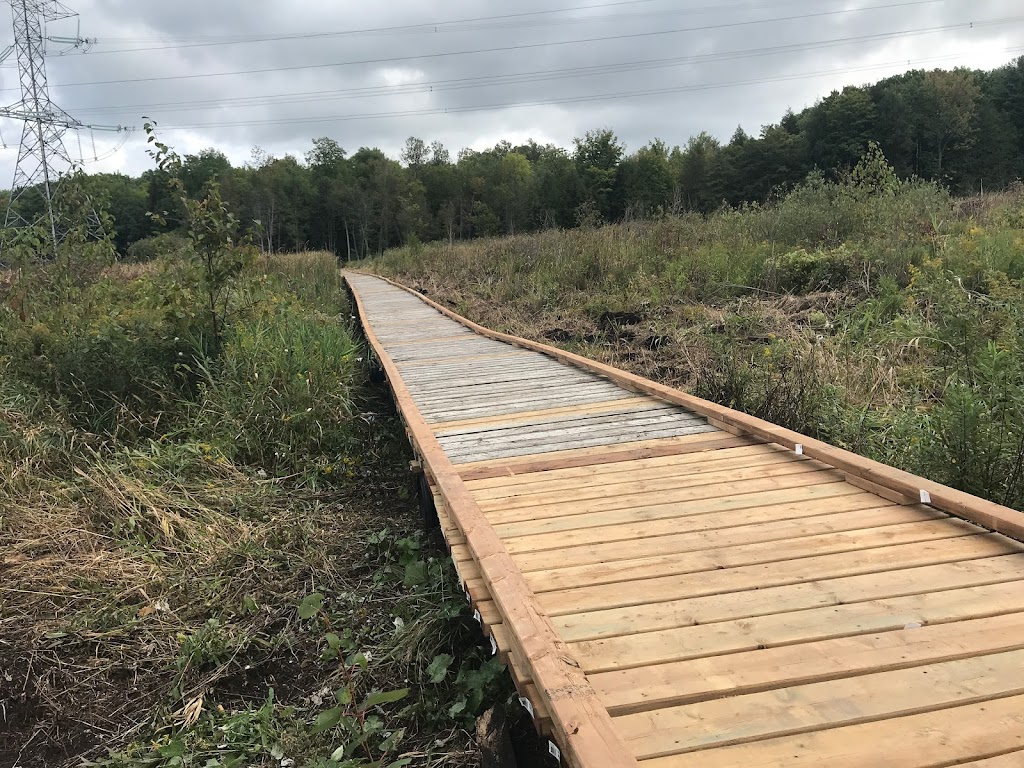 Happy Trails Construction | 2783 Contau Lake Rd, Gooderham, ON K0M 1R0, Canada | Phone: (705) 455-2980