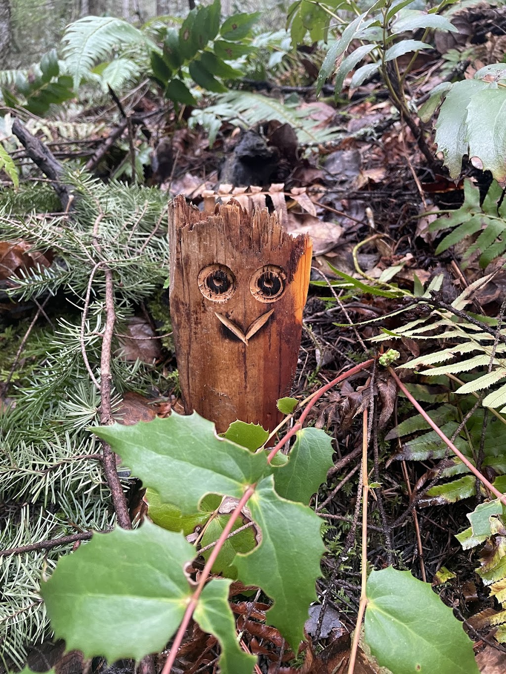 Tales on Trails Adventure Tours | Chattell Rd, Nanoose Bay, BC V9P 9A5, Canada | Phone: (514) 797-6405