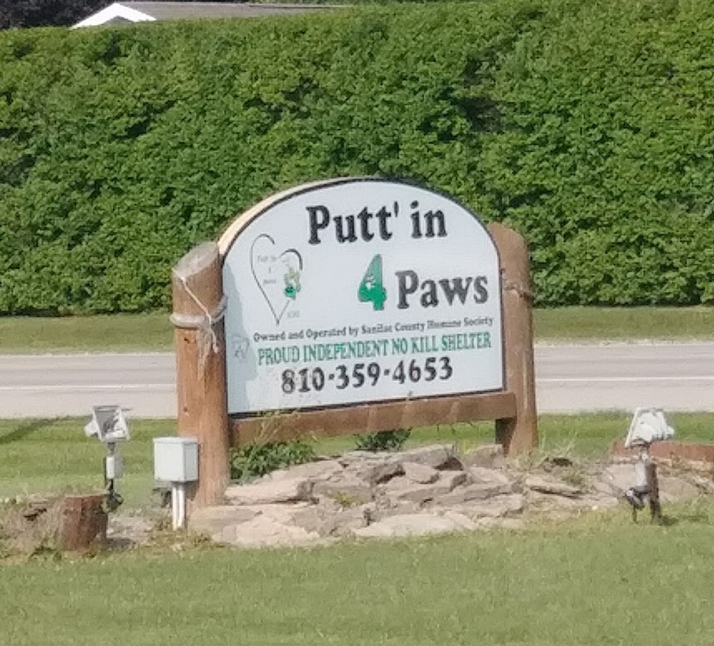 Puttin 4 Paws | 6010 Lakeshore Rd, Lexington, MI 48450, USA | Phone: (810) 359-4653