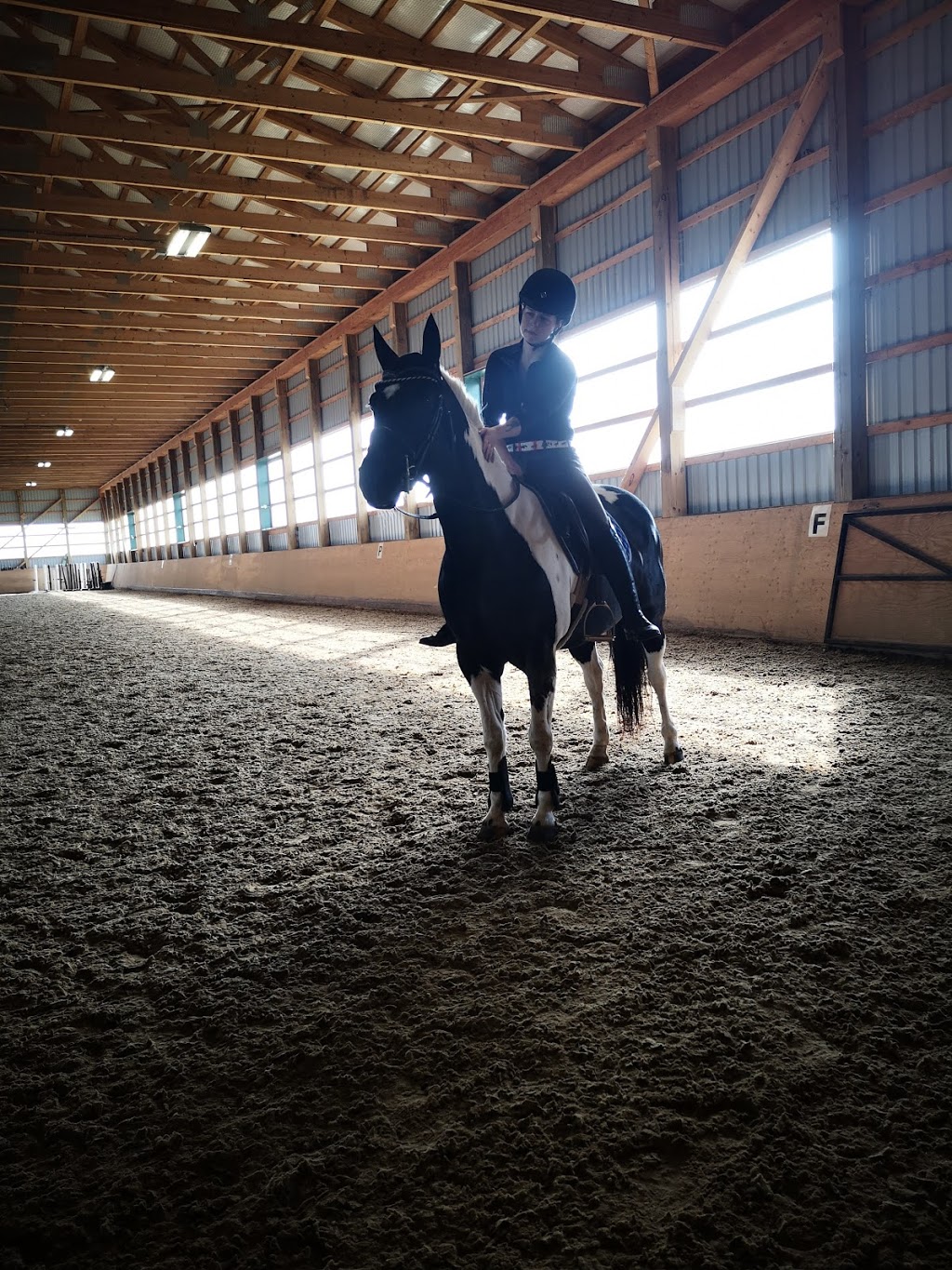 Walden Ridge Equestrian Ctr | 3074 Chilligo Rd, Cambridge, ON N3H 4R6, Canada | Phone: (519) 239-0942