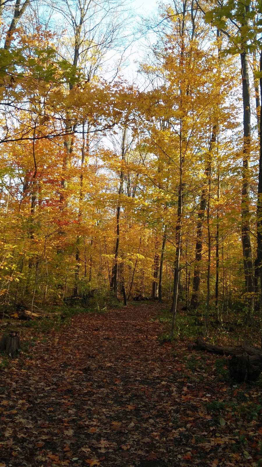 Iroquois Shoreline Woods Park | 2047 Grosvenor St, Oakville, ON L6H 5A2, Canada