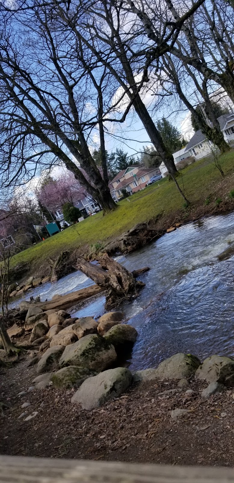 Lynden City Park | 8460 Depot Rd, Lynden, WA 98264, USA | Phone: (360) 354-6717