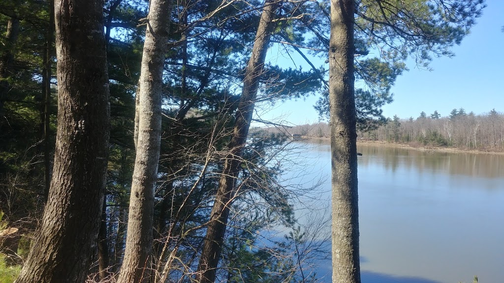 Parc Armand « Daddy » Lacelle | 833 Chemin de Masson, Gatineau, QC J8M 1A3, Canada