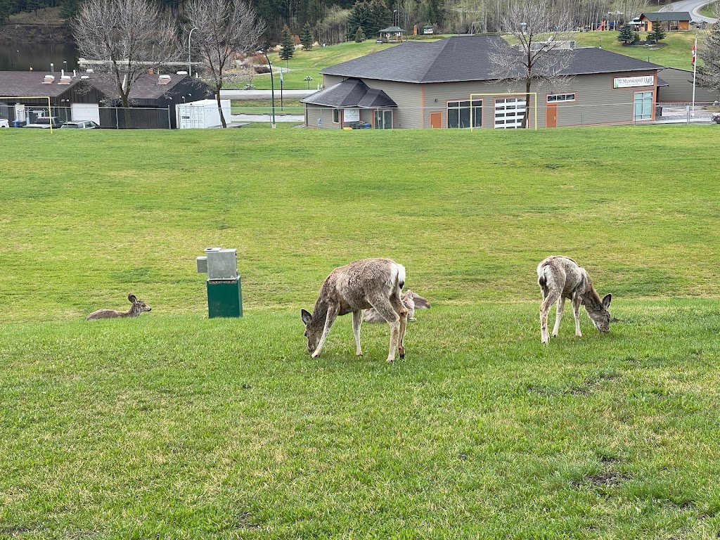 Logan Lake Elementary | 4 Galena Ave, Logan Lake, BC V0K 1W0, Canada | Phone: (250) 523-6215