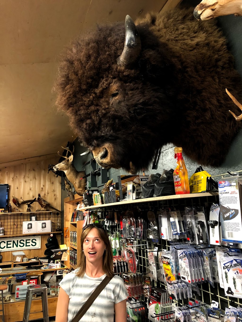 Powell River Outdoors | 4466 Marine Ave, Powell River, BC V8A 2K2, Canada | Phone: (604) 485-4868