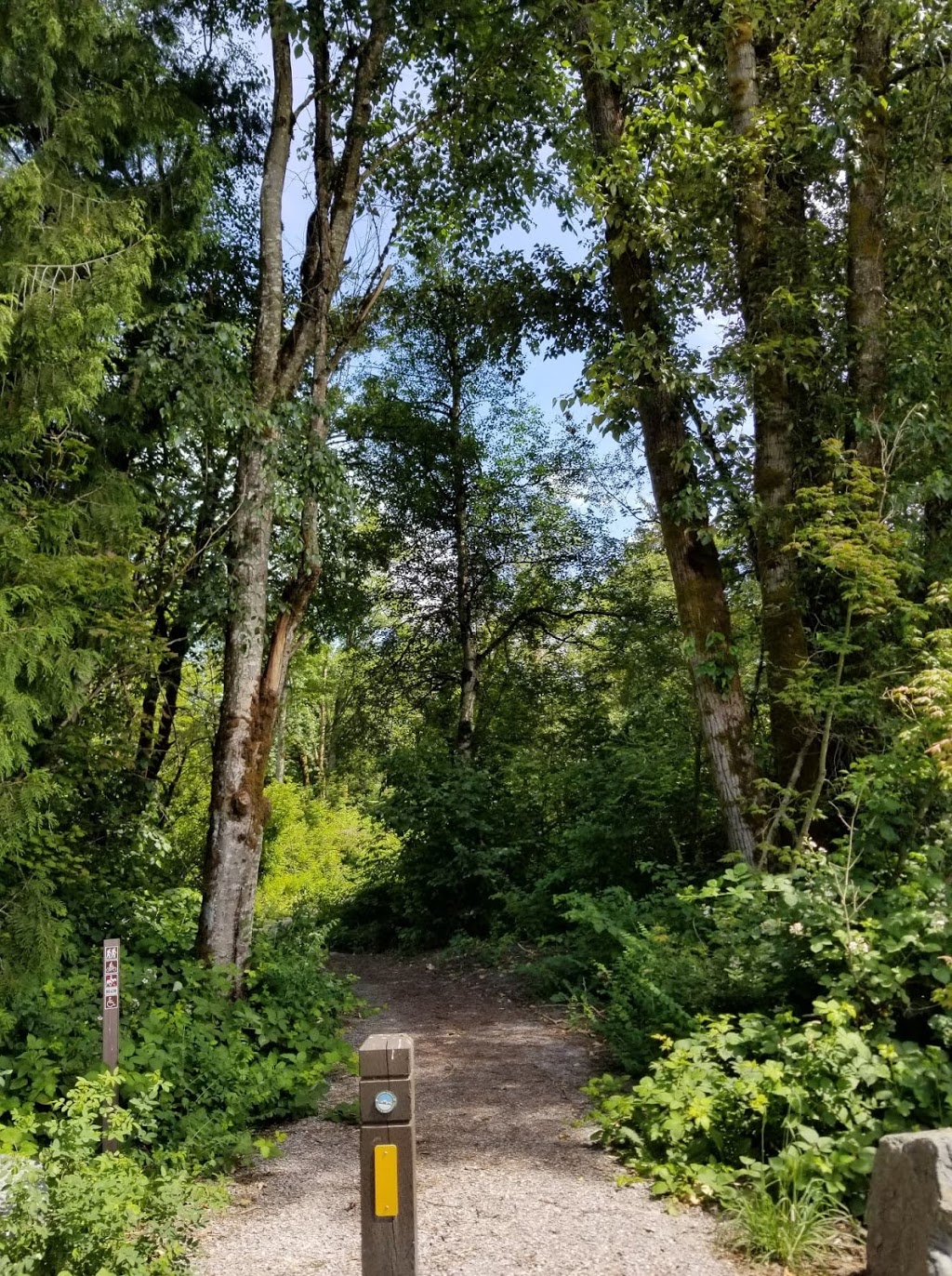 South Fork Park | Deming, WA 98244, USA