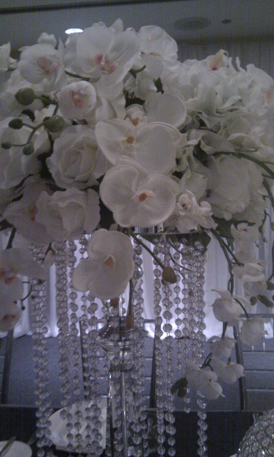 ORCHIDS AND ORGANZA | 79 Wilson St, Oakville, ON L6K 3G4, Canada | Phone: (647) 999-8686