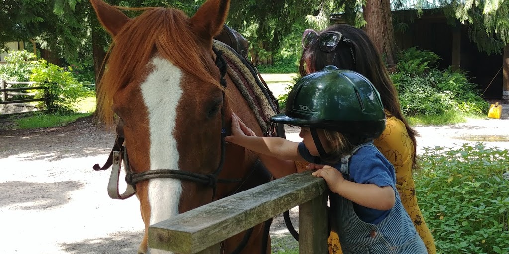 Mustang Riding Stables | 14729 Sylvester Rd, Fraser Valley F, BC V2V 0B9, Canada | Phone: (604) 826-1800