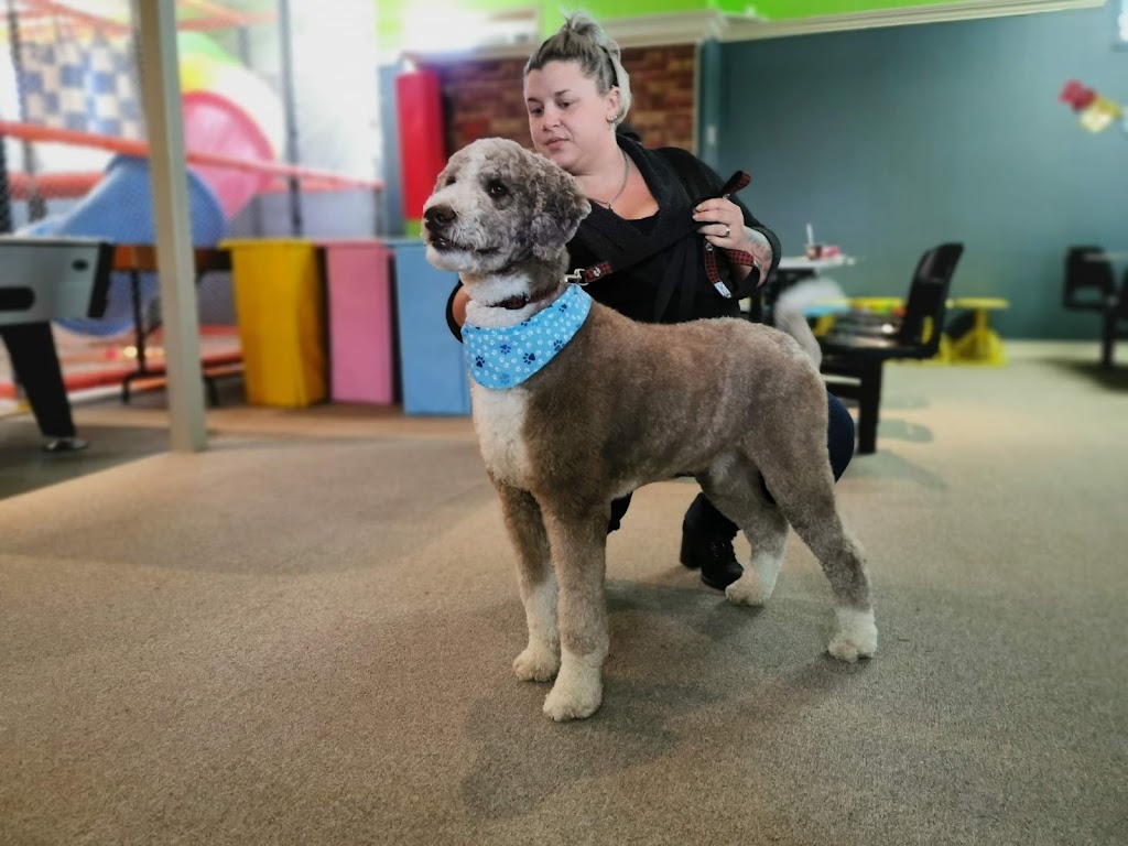 La Muze canine | 191 12 Rue, Ferme-Neuve, QC J0W 1C0, Canada | Phone: (819) 587-3020
