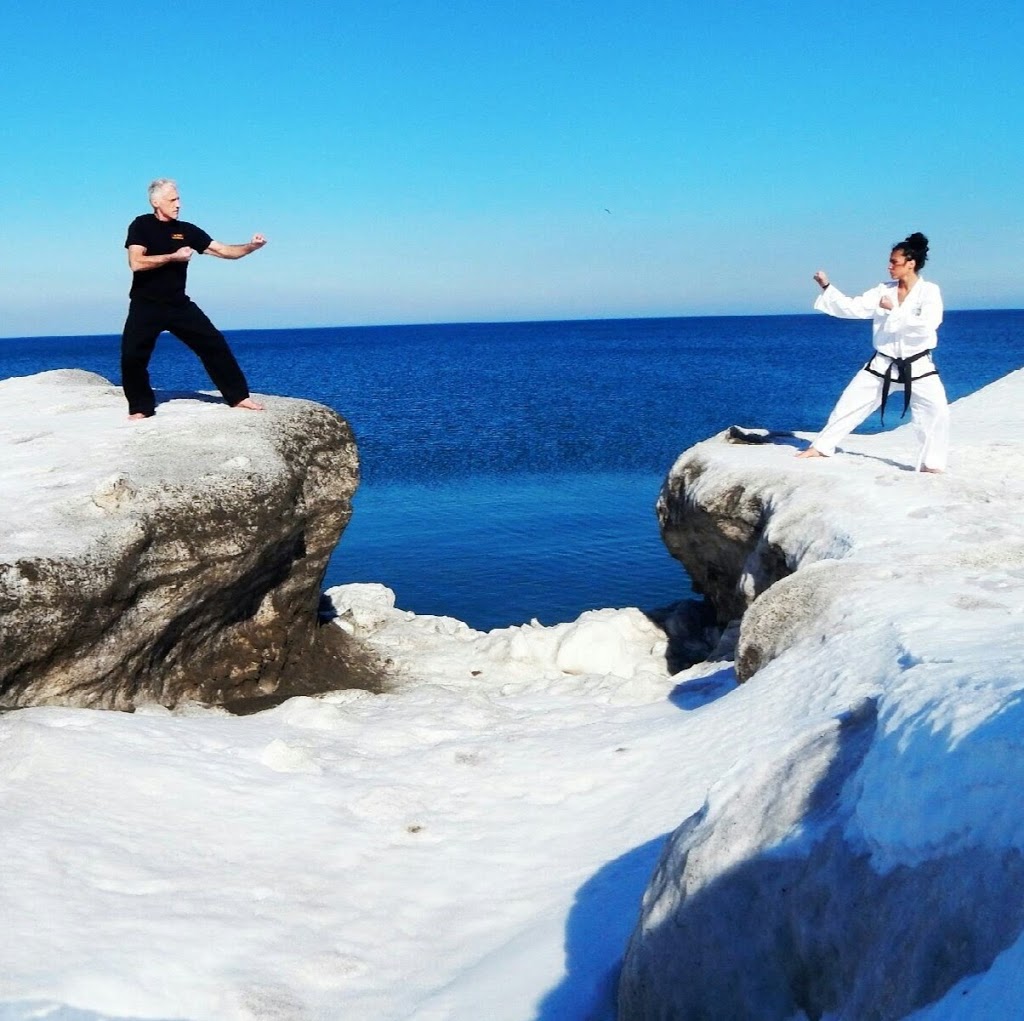 Lee Sukhi Success Martial Arts Ancaster | 1412 Sandhill Dr, Ancaster, ON L9G 4V5, Canada | Phone: (905) 923-0035