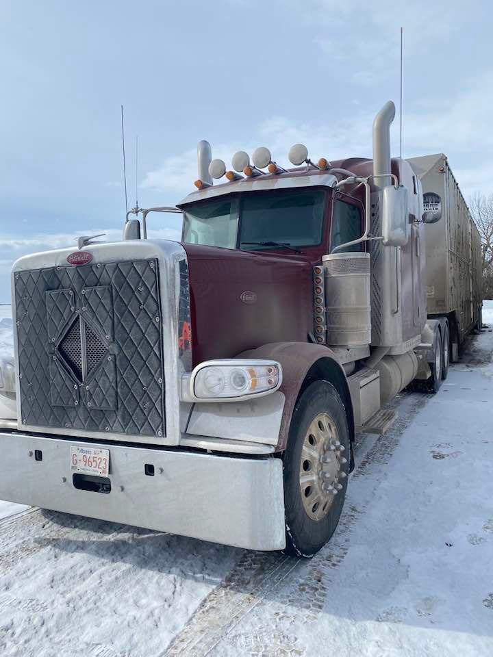 Hurum Trucking Livestock Hauling | Box 93, 5228 58 Ave, Viking, AB T0B 4N0, Canada | Phone: (780) 385-0507