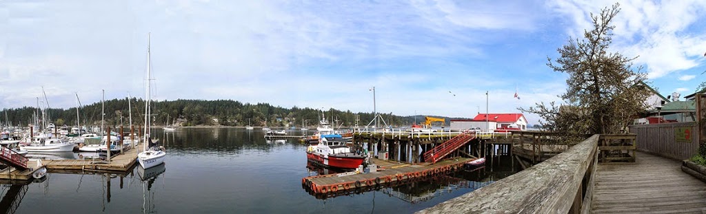 Salt Spring Web Design | 401 Wilkie Way, Salt Spring Island, BC V8K 2J4, Canada | Phone: (250) 537-7937