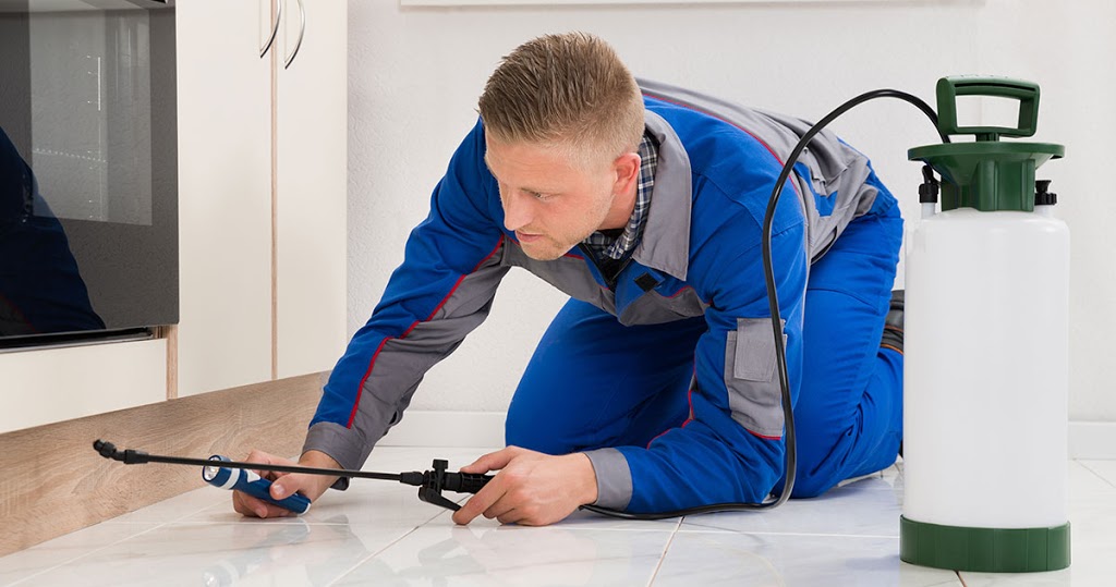 AR Pest Control Milton | 95 Locker Place, Milton, ON L9E 1E8, Canada | Phone: (855) 670-7378