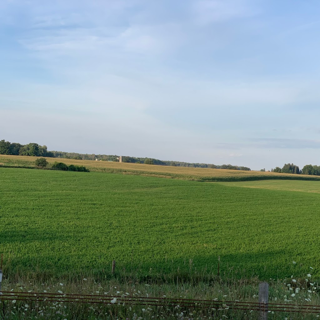 Community Care Concepts | 929 Arthur St S, St. Jacobs, ON N0B 2N0, Canada | Phone: (519) 664-1900