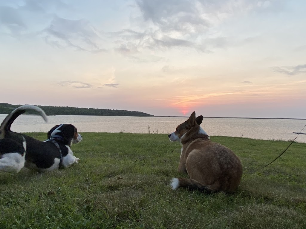 Hyclass Ocean Campground | 11373 NS-4, Havre Boucher, NS B0H 1P0, Canada | Phone: (902) 232-3117