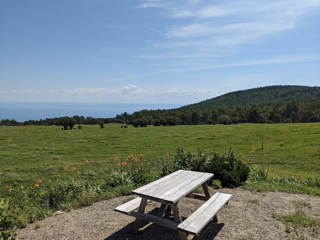 Miellerie du cratère de Charlevoix | 3390 Route du Fleuve, Les Éboulements, QC G0A 2M0, Canada | Phone: (418) 617-0728