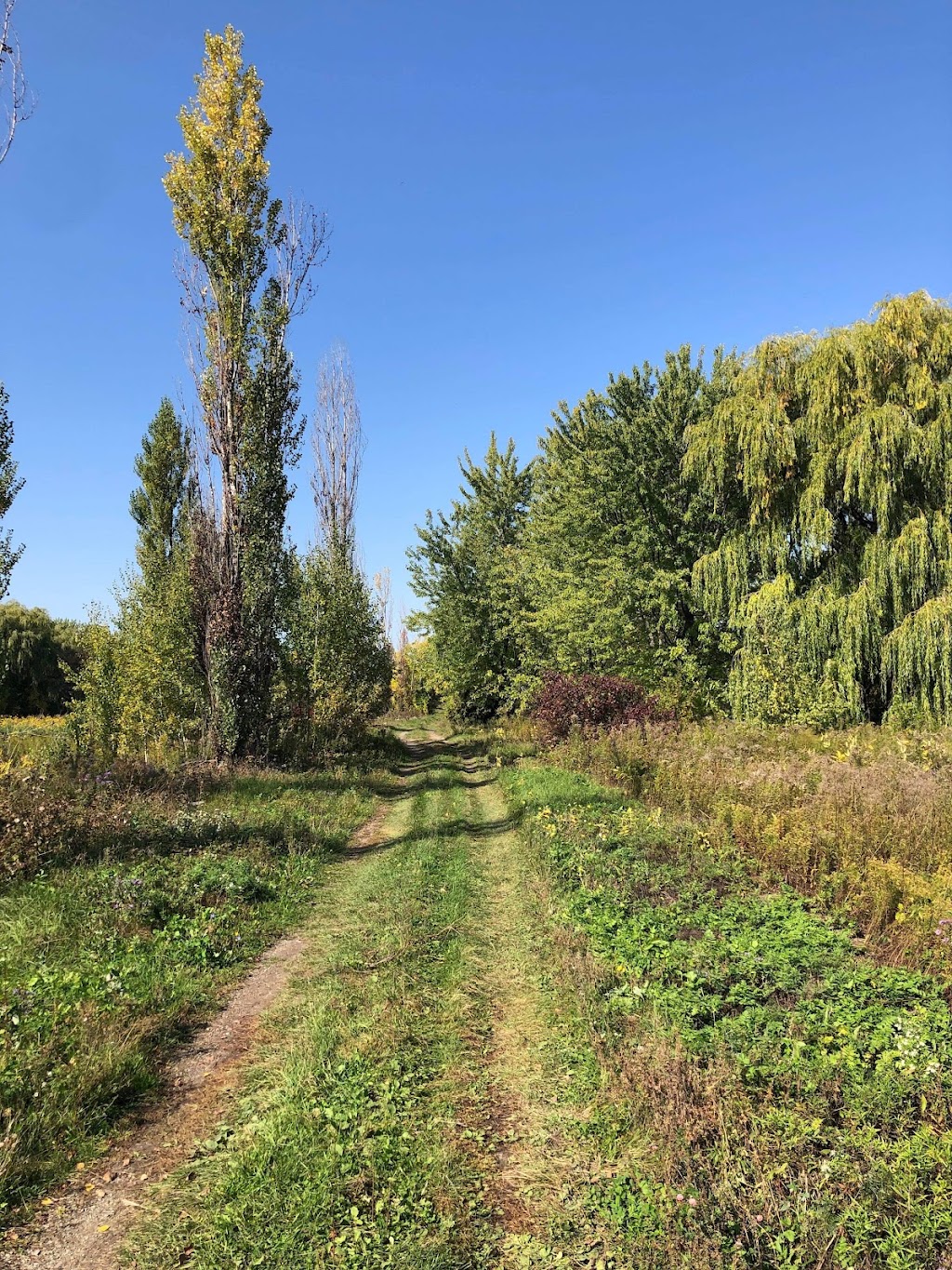 Ranch Dubuc Stratford | 50 Rang St Zephirin, Beauharnois, QC J6N 3B8, Canada | Phone: (450) 525-0942