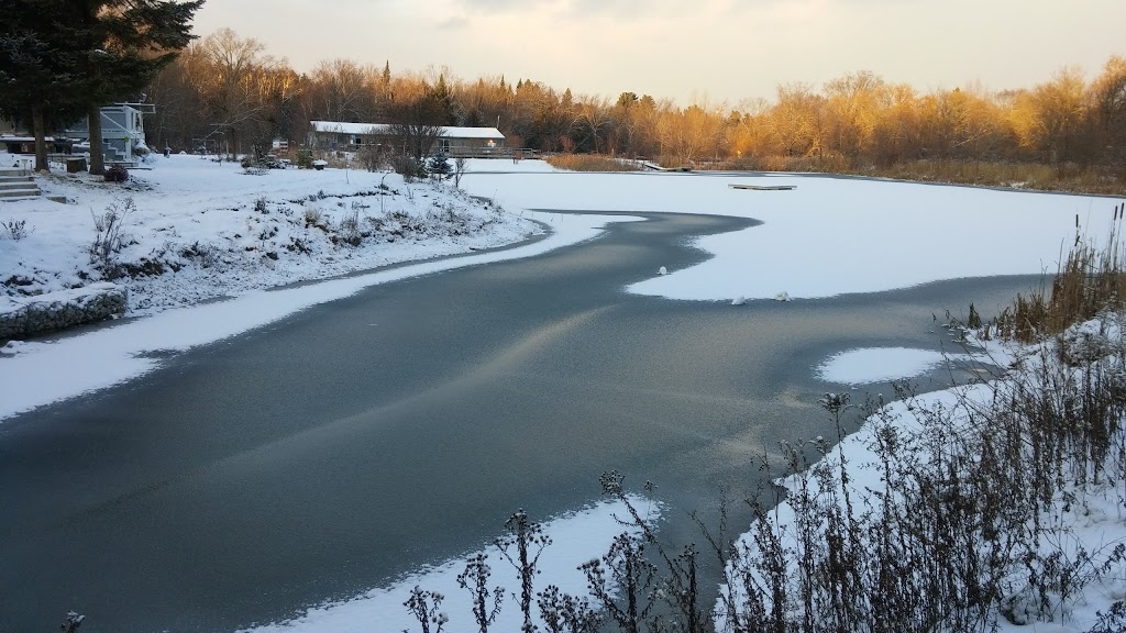 Bare Oaks Family Naturist Park | 20237 Kennedy Rd, Sharon, ON L0G 1V0, Canada | Phone: (905) 473-6060