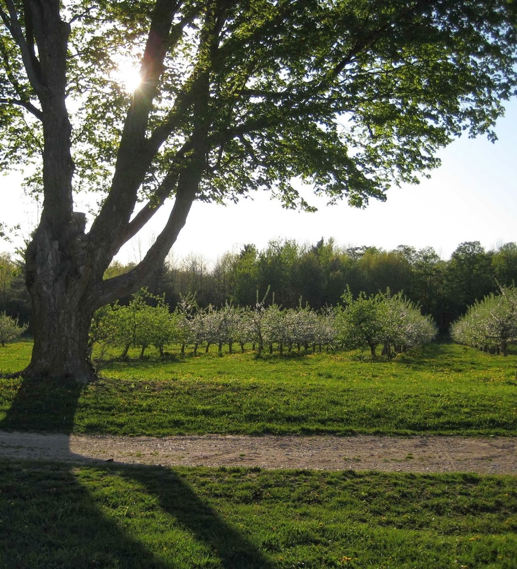 Blakes Apple Orchard | 42933 St Michaels Rd, Brussels, ON N0G 1H0, Canada | Phone: (519) 887-6972