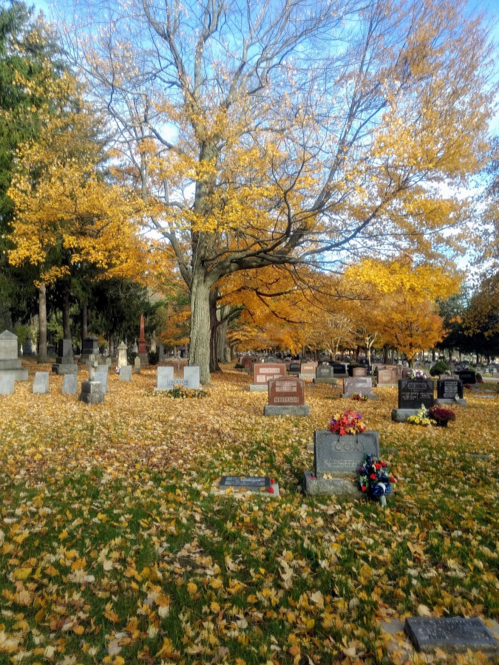 Norfolk Oakwood Cemetery | 35 Potts Rd, Simcoe, ON N3Y 2S8, Canada | Phone: (519) 426-5999