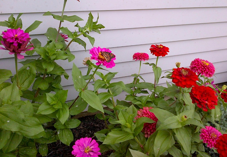 Chippawa Library | 3763 Main St, Niagara Falls, ON L2G 6B3, Canada | Phone: (905) 295-4391