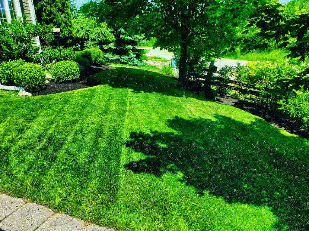 Green Esthetics Landscaping | Hume St #268, Collingwood, ON L9Y 1W1, Canada | Phone: (705) 446-4649