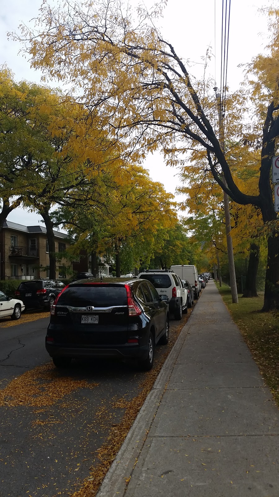 St. Simon Apotre Park | Ahuntsic-Cartierville, Montreal, QC H2N, Canada