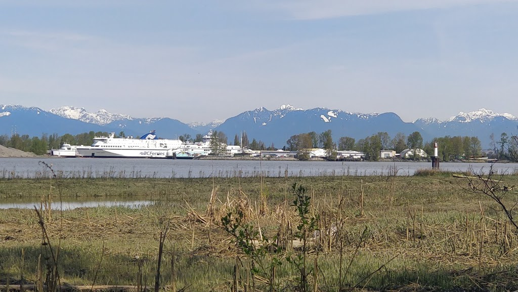 South Arm Marshes Wildlife Management Area | 5011 River Rd, Delta, BC V4K 1S7, Canada