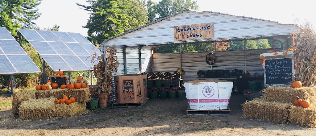 Canada linc farms | 5484 Imperial Rd, Aylmer, ON N5H 3H3, Canada | Phone: (519) 777-9394