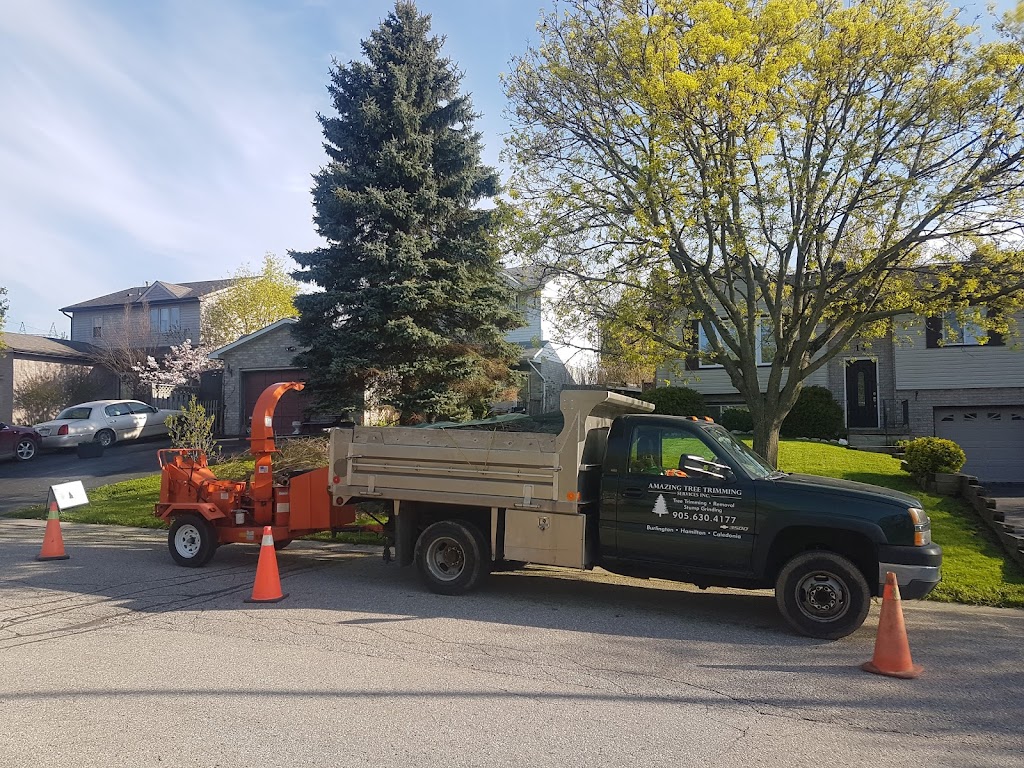 Amazing Tree Trimming Services Inc | 700 ON-6, Caledonia, ON N3W 1M6, Canada | Phone: (905) 630-4177